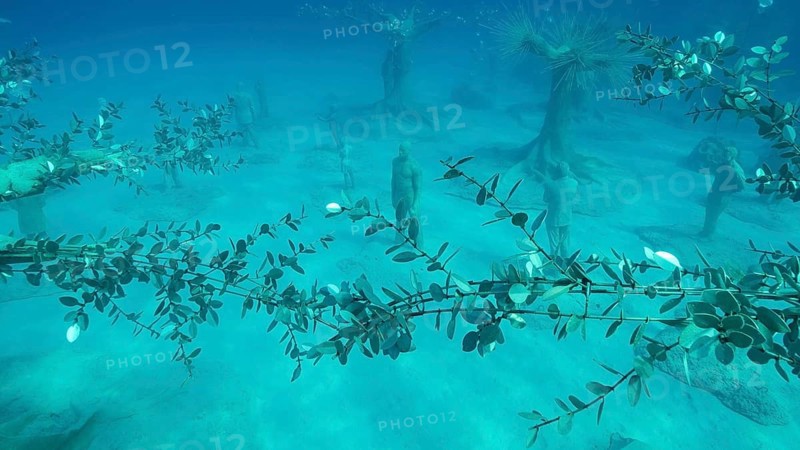 Museum of Underwater Sculpture Ayia Napa
