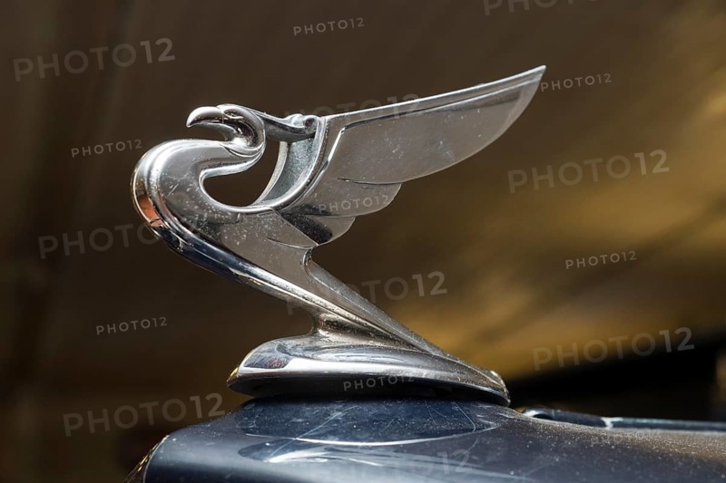 Radiator mascot on a 1935 Chevrolet Standard Sedan