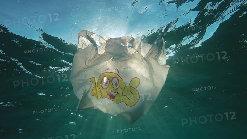 Plastic pollution