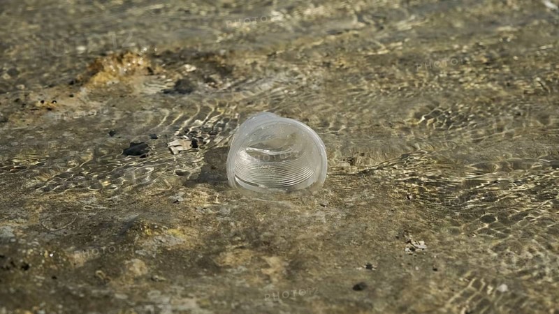 Transparent plastic cup is carried away by the wind to the sea in the coastal zone. Plastic pollution of the surf zone. Red sea