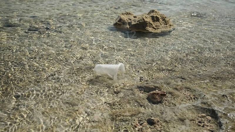 Transparent plastic cup is carried away by the wind to the sea in the coastal zone. Plastic pollution of the surf zone. Red sea