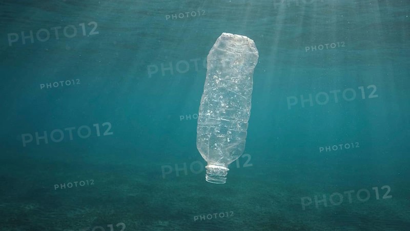 Plastic pollution