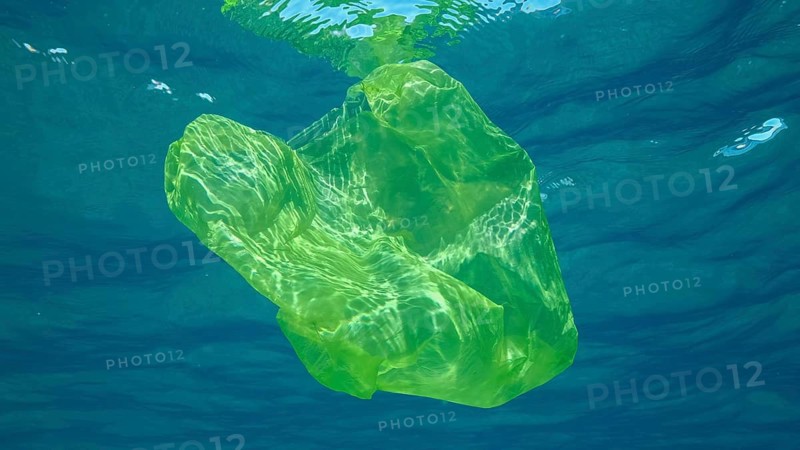 Plastic pollution
