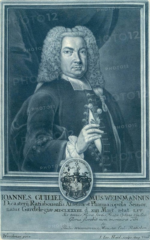 Johann Wilhelm Weinmann