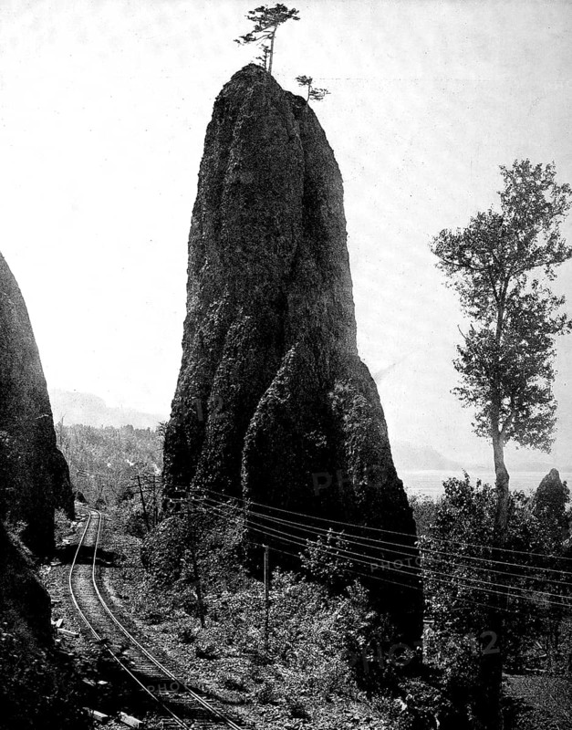 The Rock