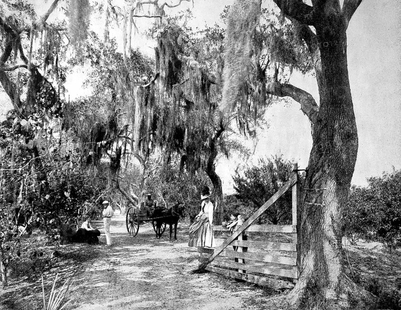 Landscape near the small town of Ormond in the state of Florida