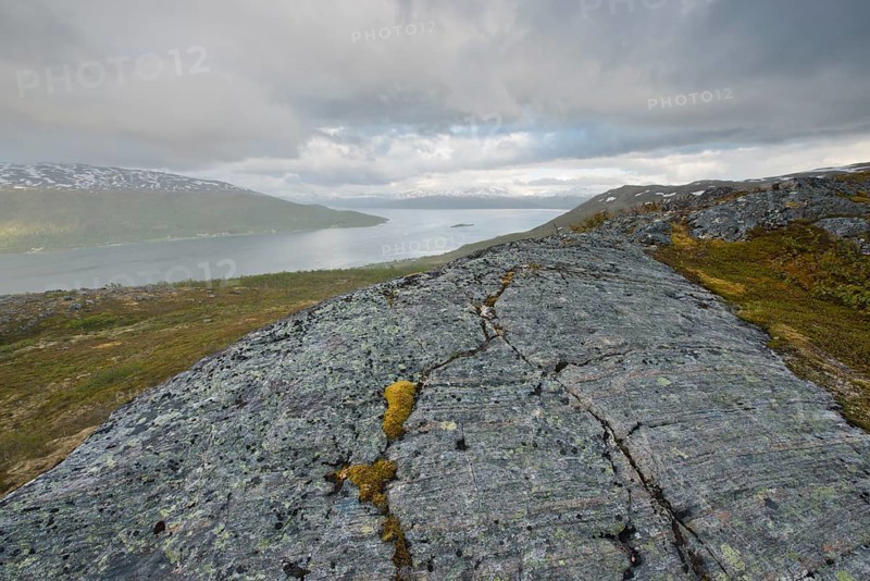 Fjell Landscape