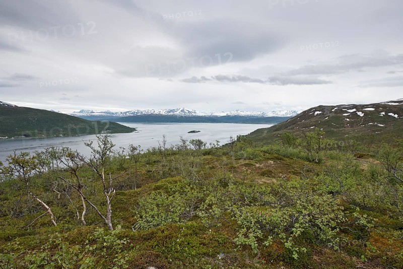 Fjell Landscape