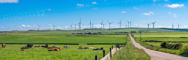 WIND FARM over North Coast Road