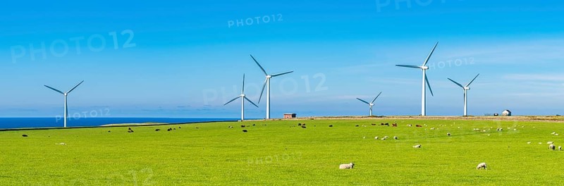 WIND FARM over North Coast Road