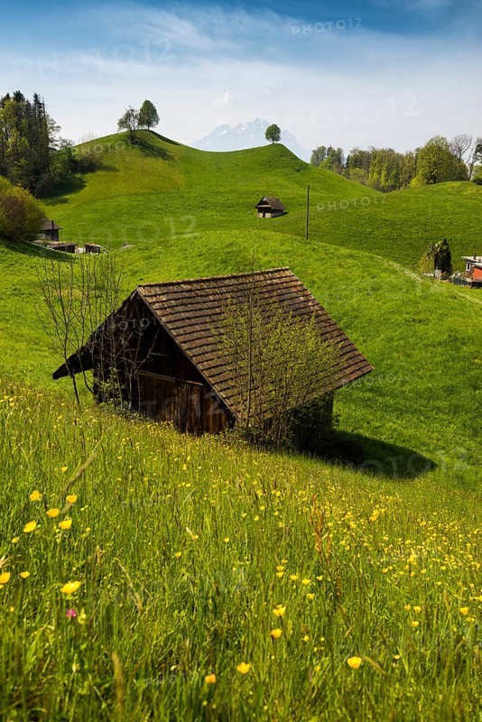 Panorama with huts and hills