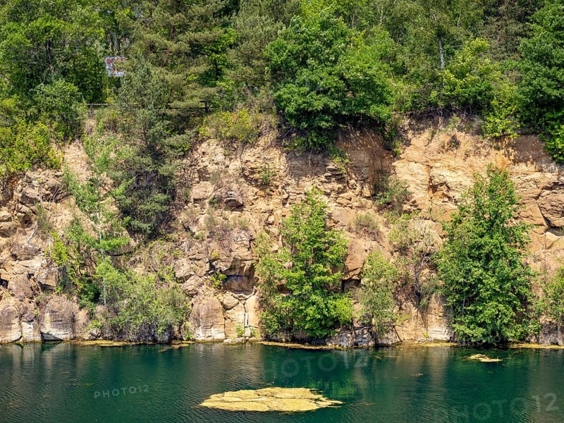 Rock face overgrown with trees at the former quarry