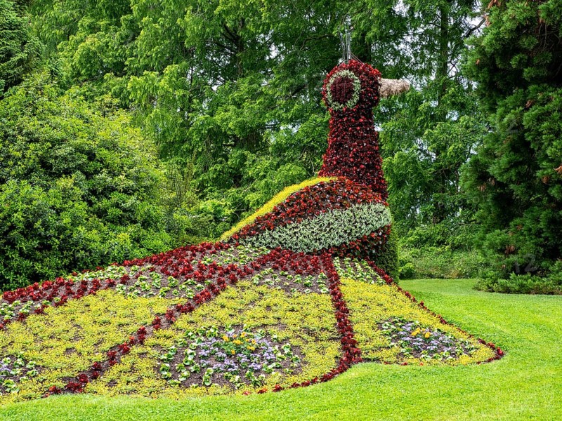 Flower sculpture peacock