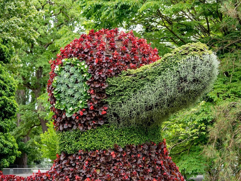 Flower sculpture duck