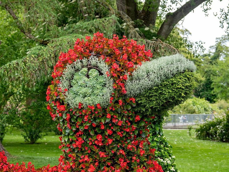Flower sculpture duck