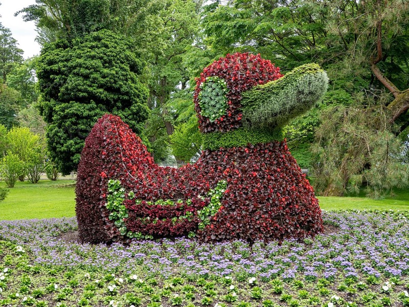 Flower sculpture duck
