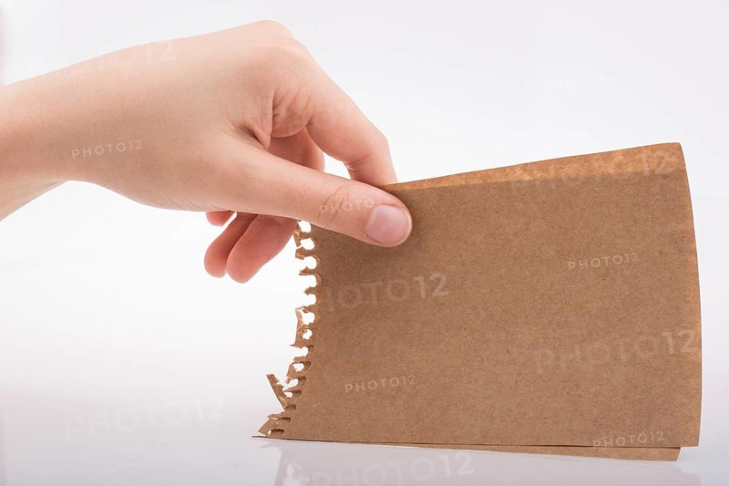 Hand holding a sheet of paper on a white background