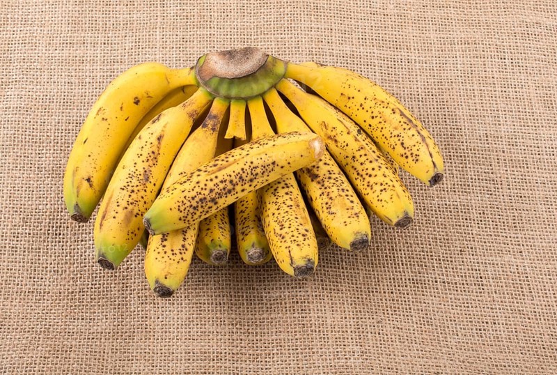 Bunch of yellow freckled bananas on a canvas texture