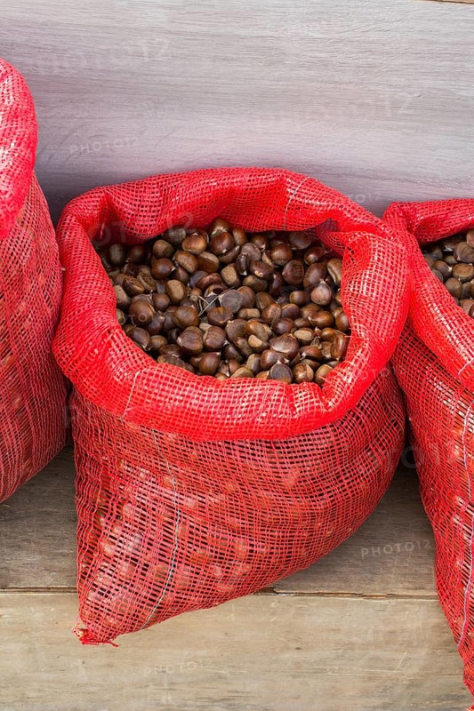 Raw fresh sweet chestnut for ready for sale