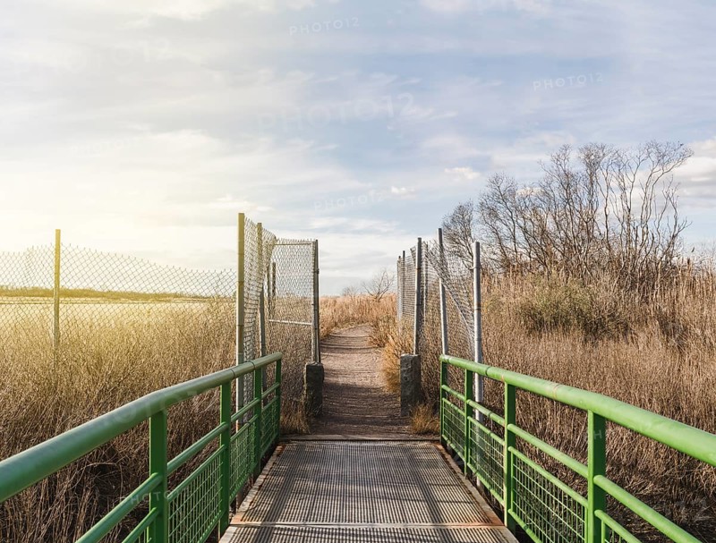 Close up of a bridge with blue sky and copy space
