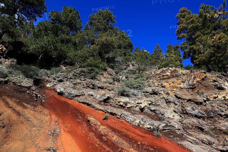 Landscape at the pass road to Roque de los Moschaschos