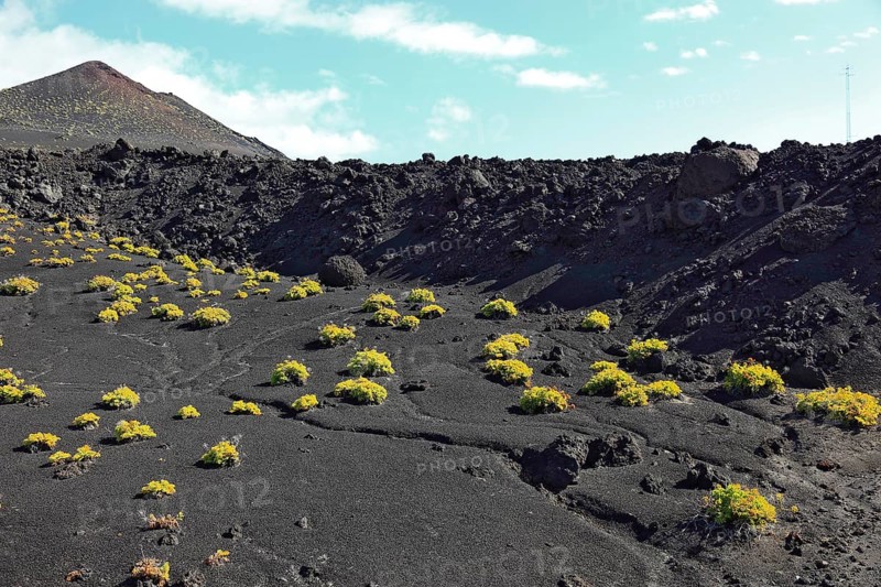 Blue volcanic landscape at Cap de Fuencaliente