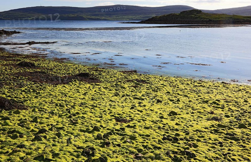 Inner Hebrides