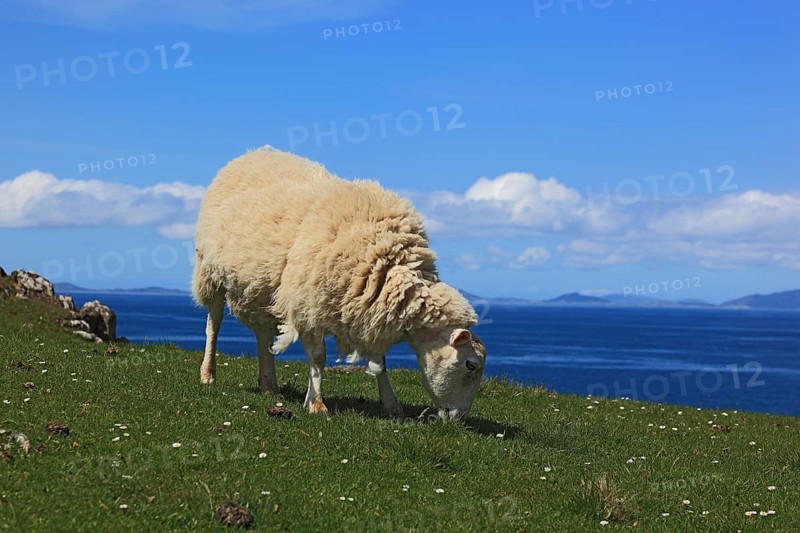 Inner Hebrides