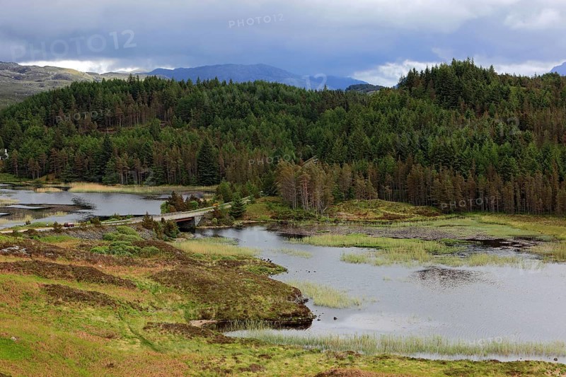 Highlands
