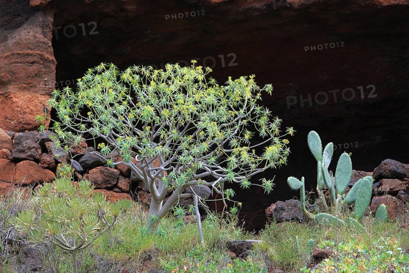 Landscape in the area of Las Cuevas de Aqua