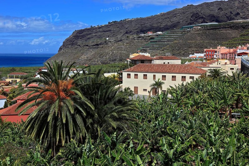Banana plantations in the southwest of the island near Tazacorte