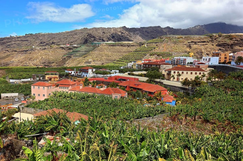 Banana plantations in the southwest of the island near Tazacorte