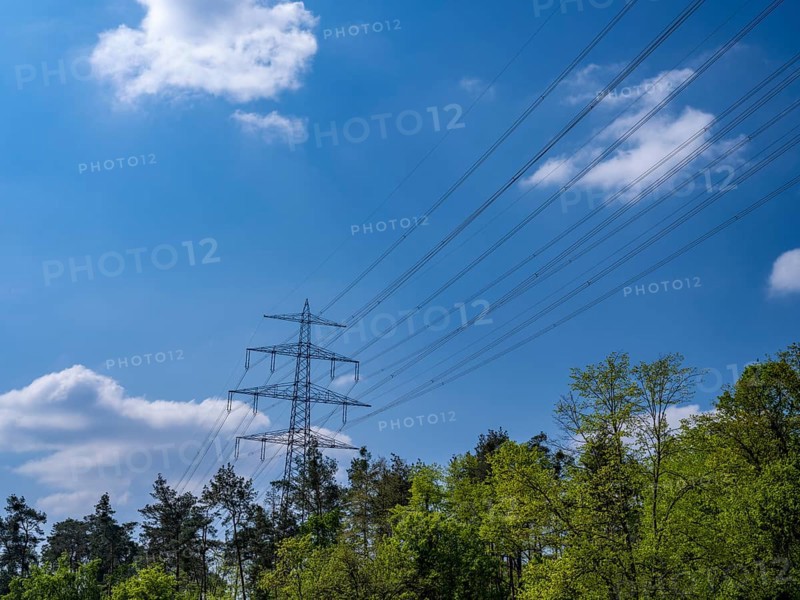 High-voltage power line behind trees at the Hardtwald West motorway service station