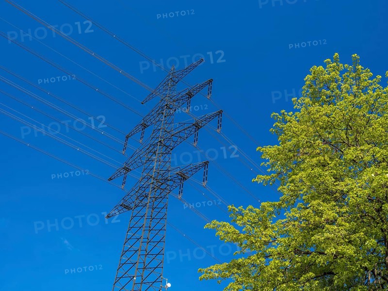 High-voltage power line behind trees at the Hardtwald West motorway service station