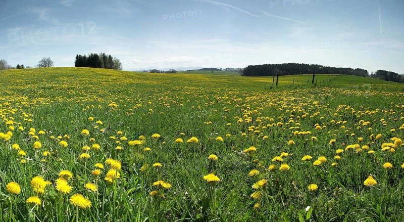 Panorama Rott