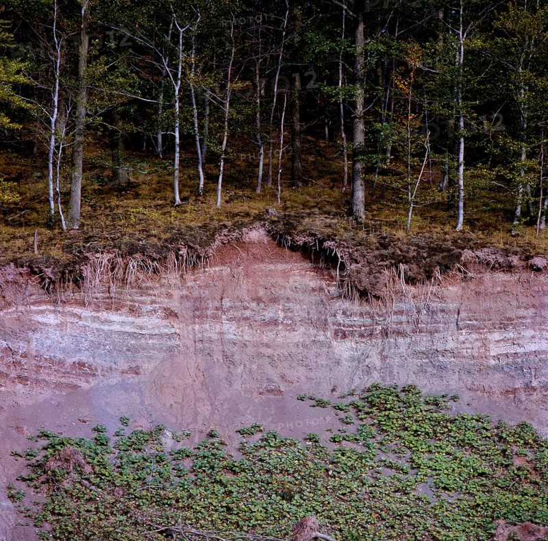 Landslide in the forest Erosion
