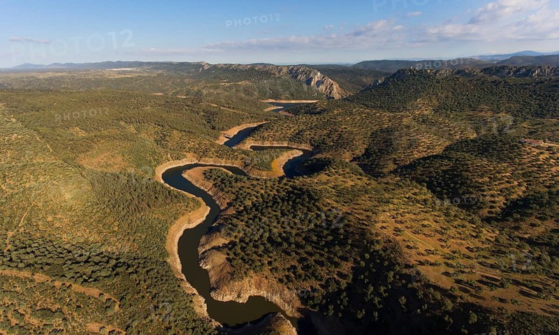 Dehesa