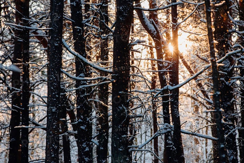 Trickling snow against the light