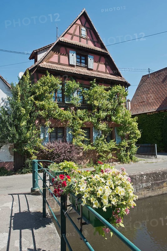 Wissembourg, vine-covered house on the Lauter Canal