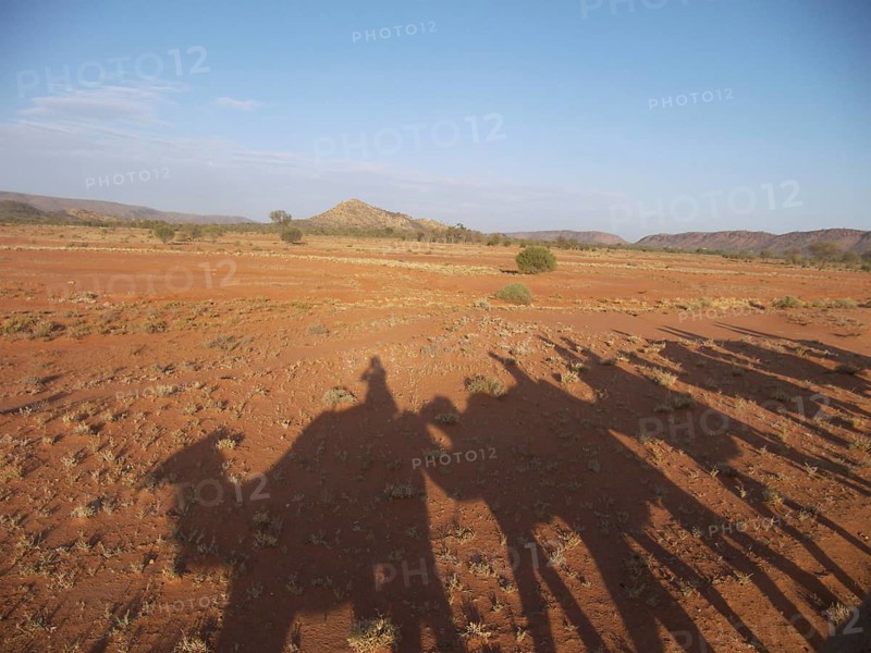 A camel caravan casts shadows in the sand, Australia -