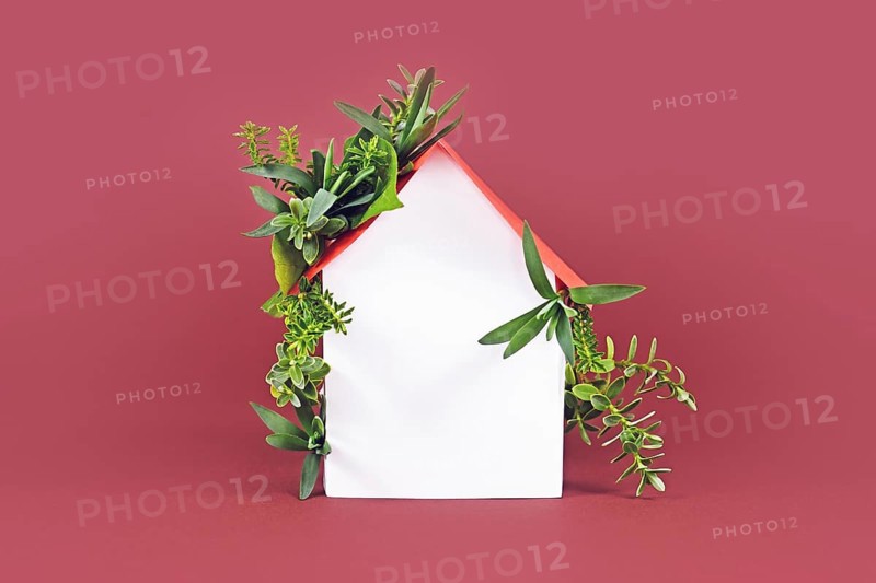 Energy efficiency and carbon neutrality in buildings concept with house with leaves,