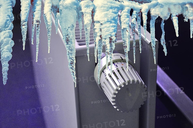 Cold winter, frost