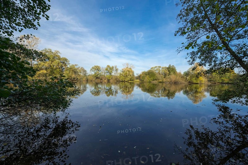Lake Moenchbruchweiher in autumn, Nature Reserve