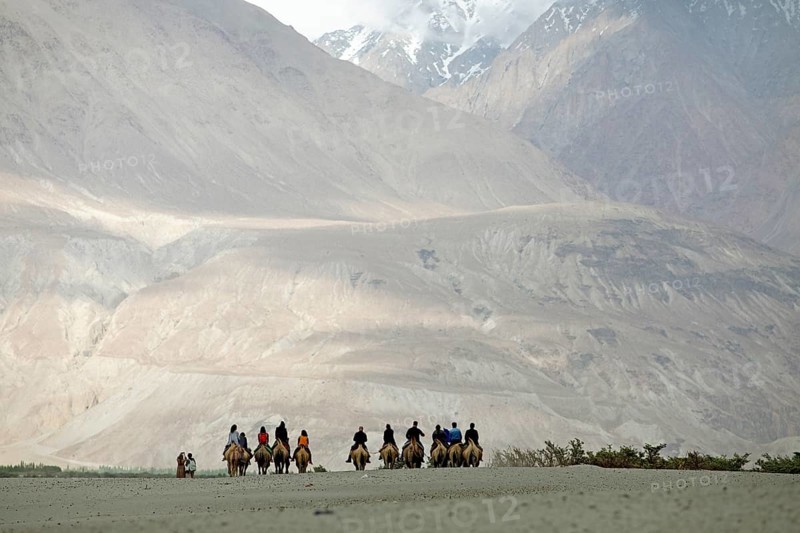 Riders on Bactrian camels in the Nubra Sand Dunes, Leh District