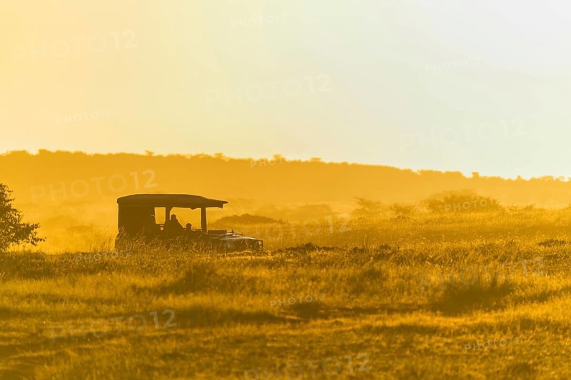 Savannah landscape in the morning with safari vehicle, Masai Mara National Reserve