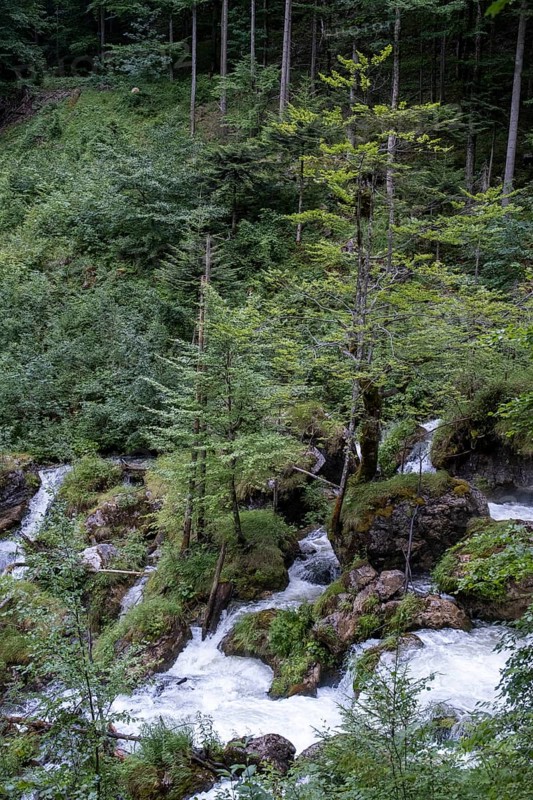 Torrent in Hartelsgraben, Gesaeuse National Park