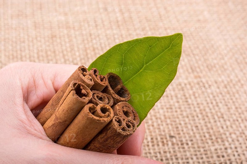 Bundle of cinnamon sticks on a linen canvas background,