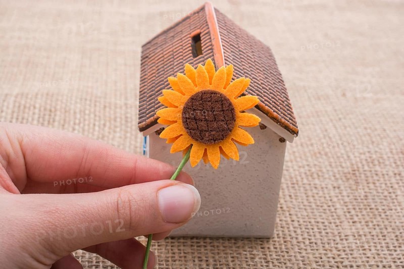 Hand holding fake flower by a model house on a brown color background,