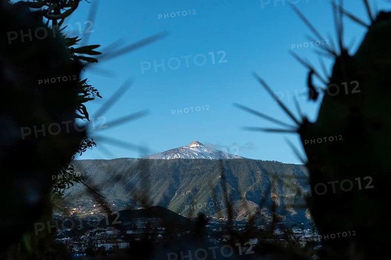 Mount Teide, Puerto de la Cruz