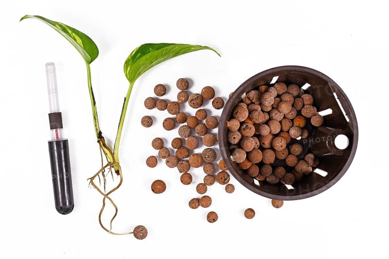 Tools for keeping houseplants in passive hydroponics system without soil with water level indicators, expanded clay pellets